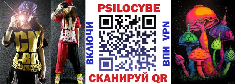 Псилоцибиновые грибы Psilocybe  закладки  Ковылкино 
